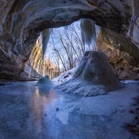 Starved Rock & Ottawa Retreat Amazing Getaway Home מראה חיצוני תמונה