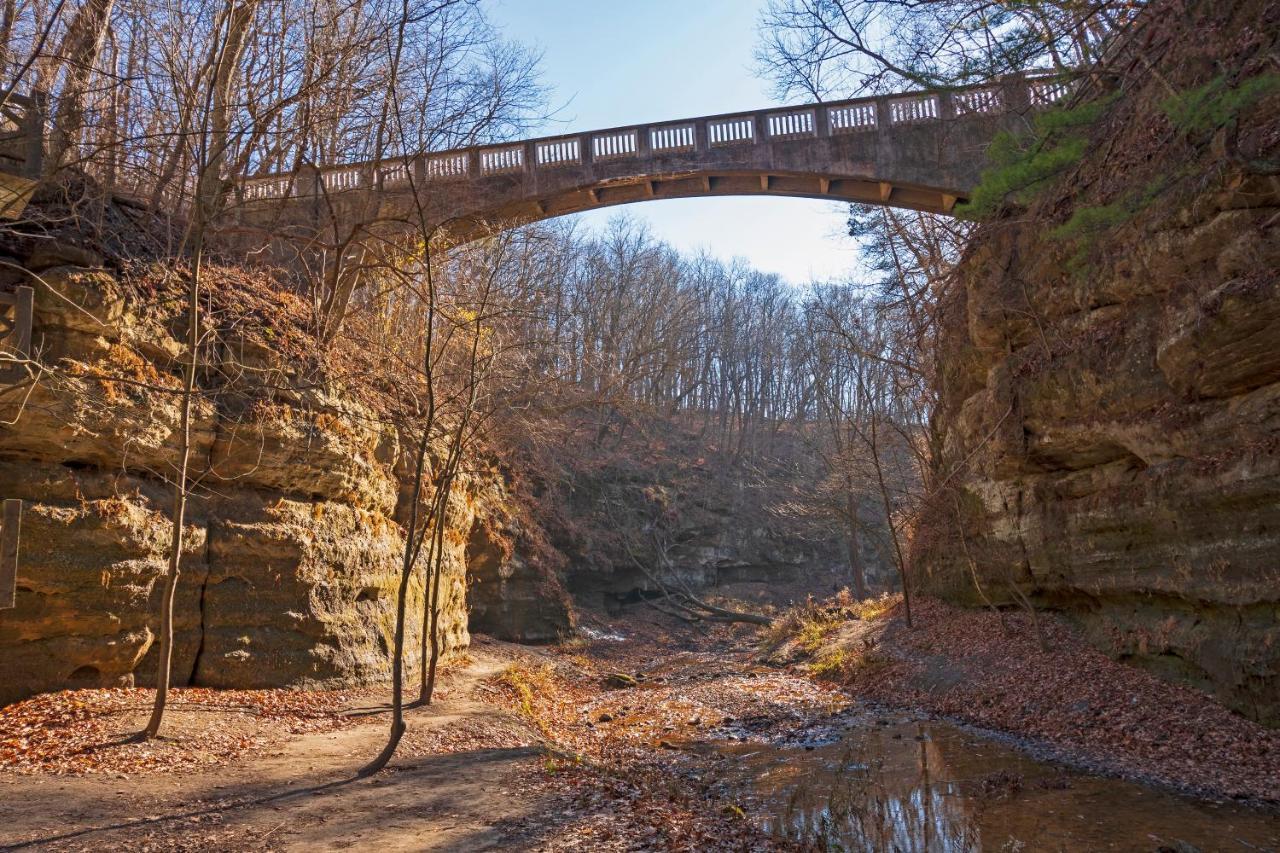 Starved Rock & Ottawa Retreat Amazing Getaway Home מראה חיצוני תמונה