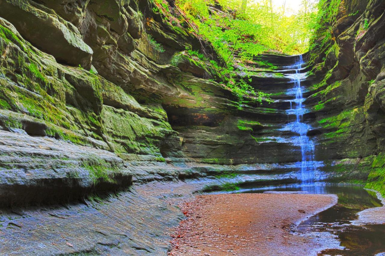 Starved Rock & Ottawa Retreat Amazing Getaway Home מראה חיצוני תמונה